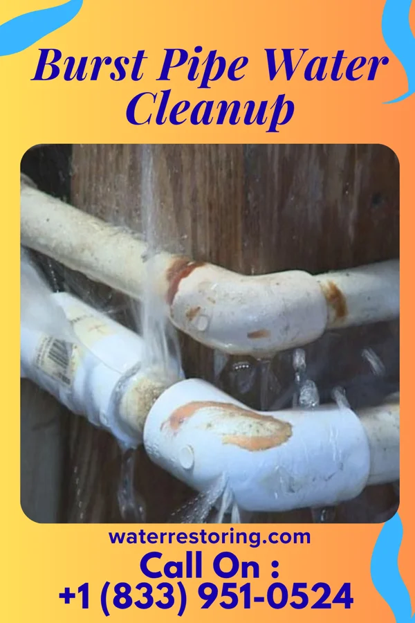 Burst Pipe Water Cleanup in Gibsland, LA
