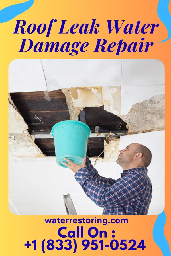 Roof Leak Water Damage Repair in Gibsland, LA