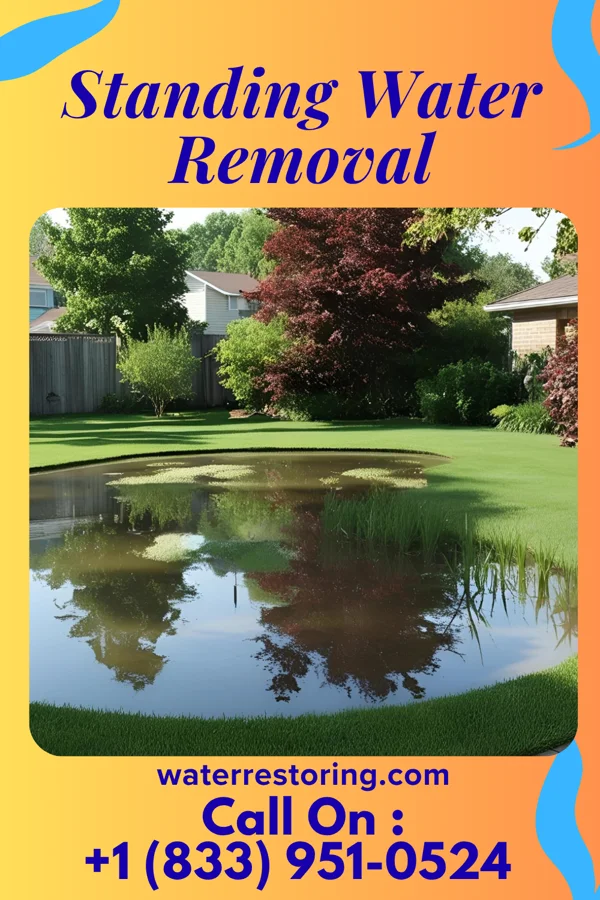 Standing Water Removal in Gibsland, LA
